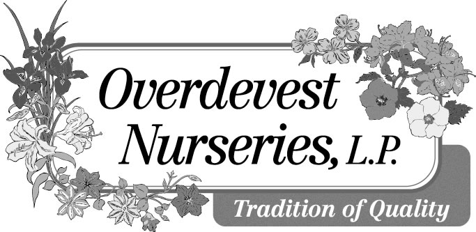 Overdevest Nurseries